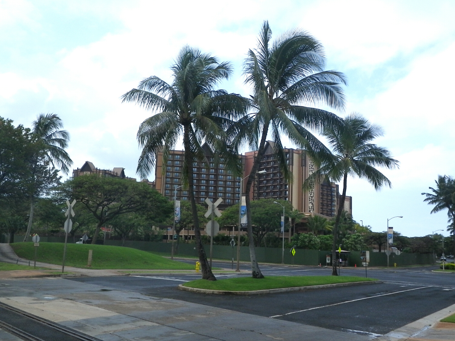 IMGP0001