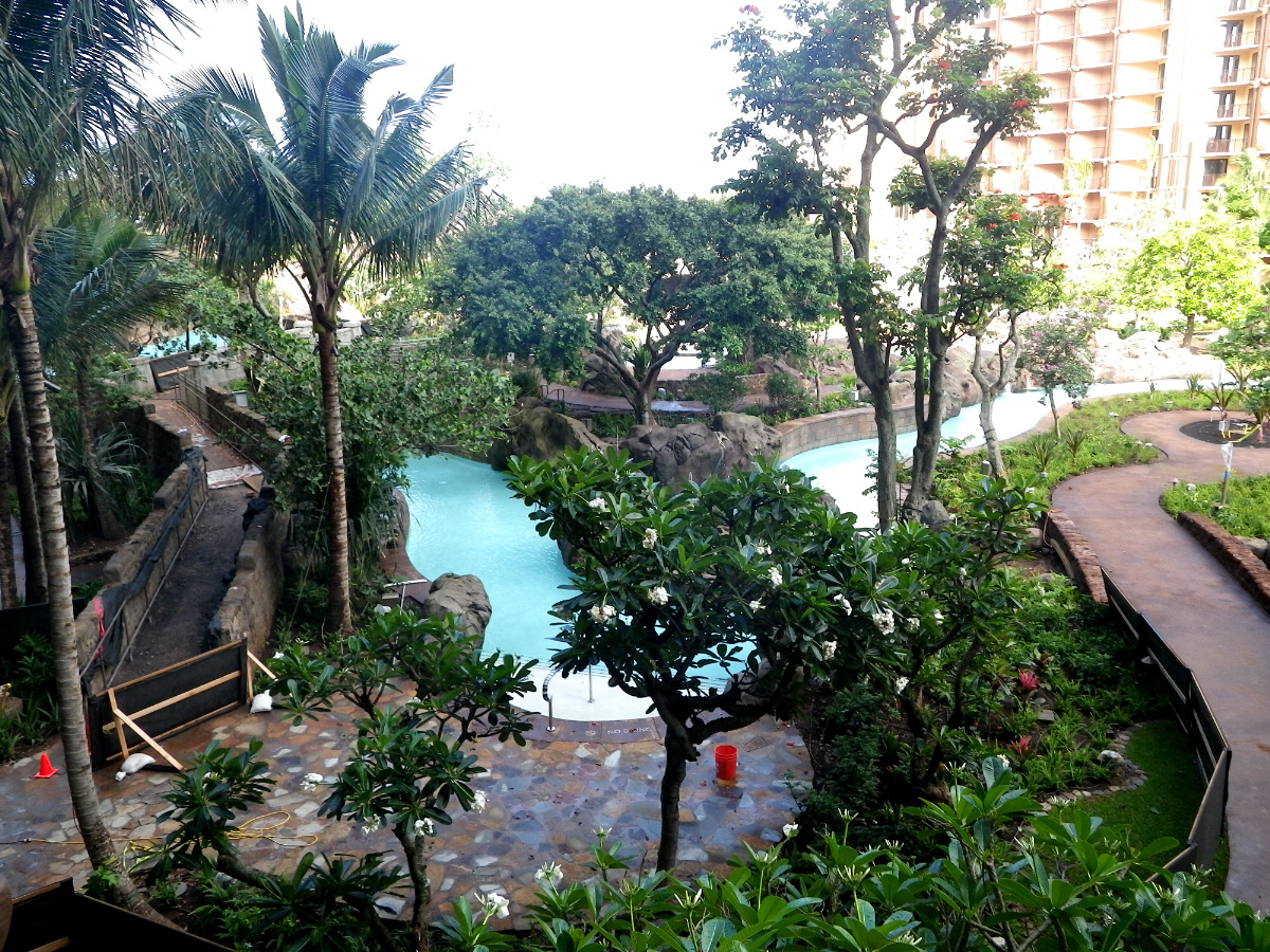 IMGP0015
