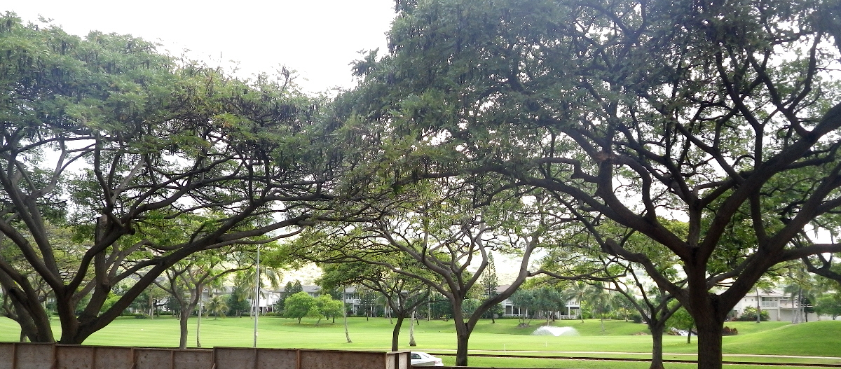 IMGP0041