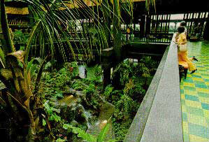 aloha02