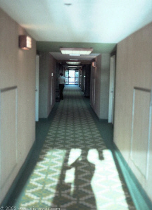 1981hall