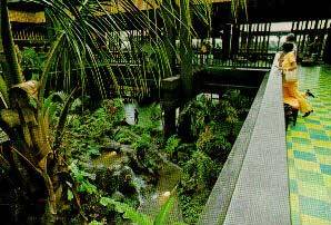 polylobby2