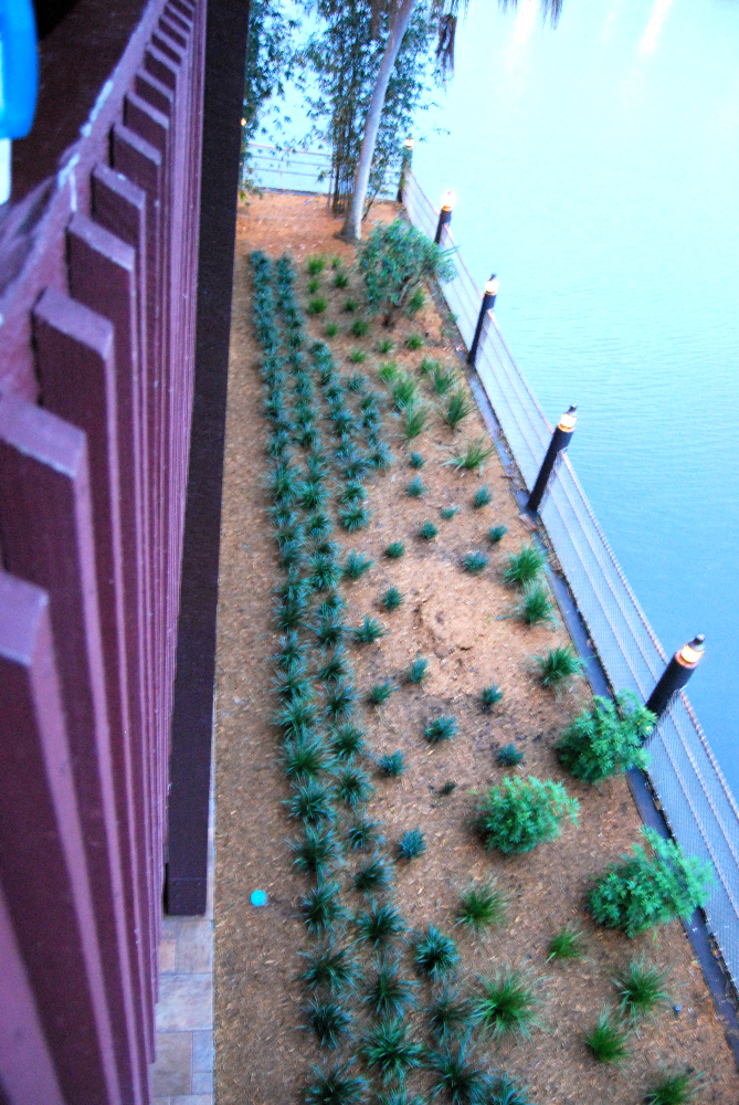 Jan_2012b