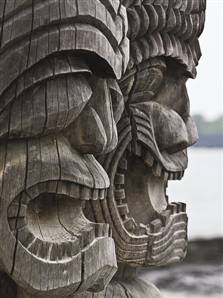 SD-Hawaii-1-Sawyer_standard