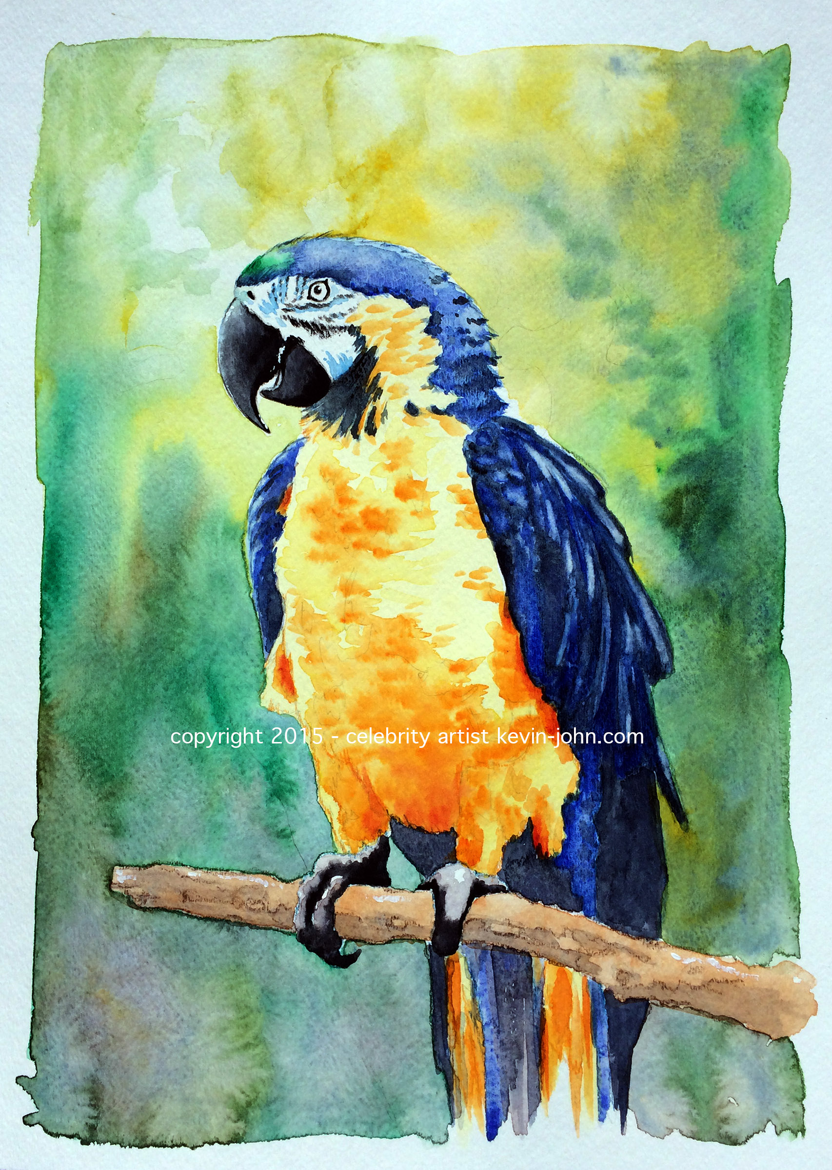 kjtikibird