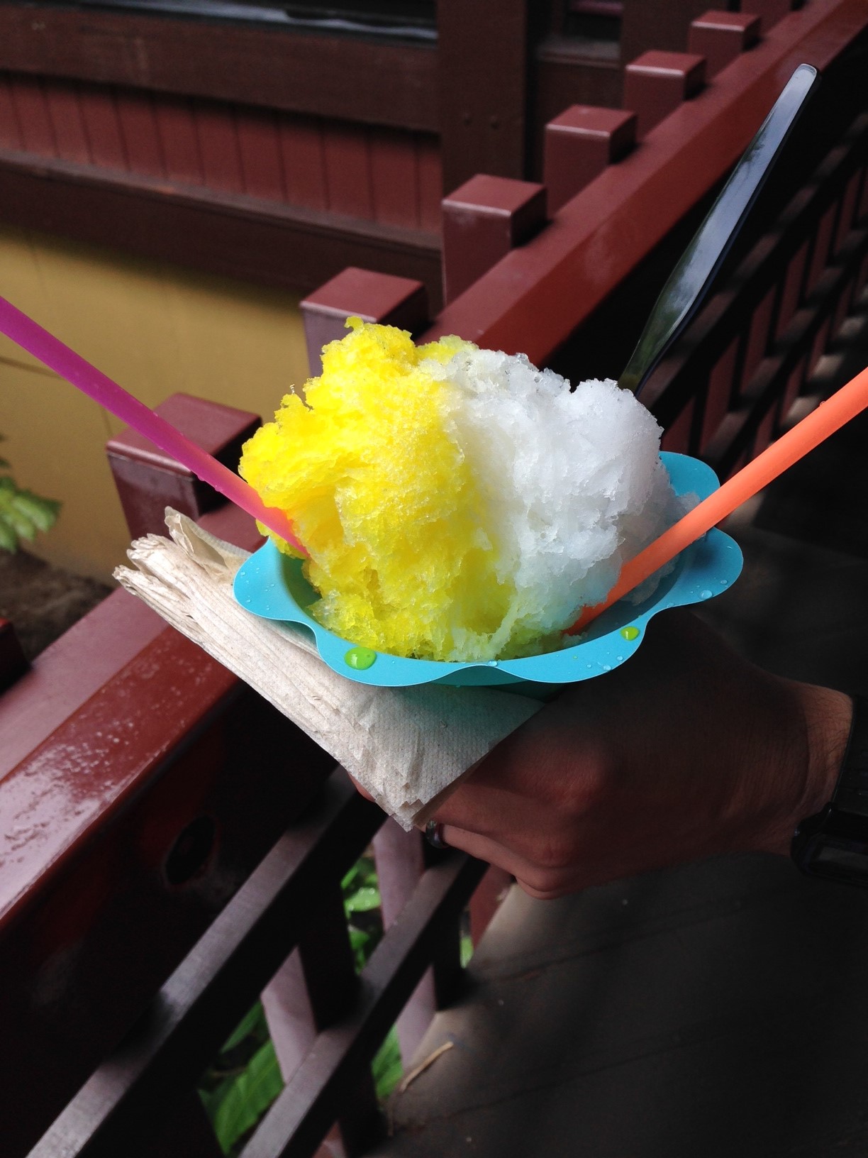 shaveice01