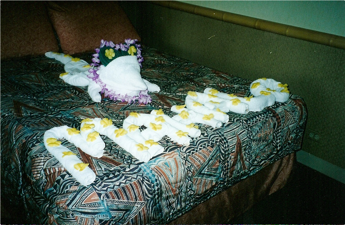 scan0008