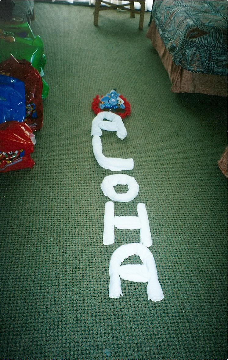 scan0008a