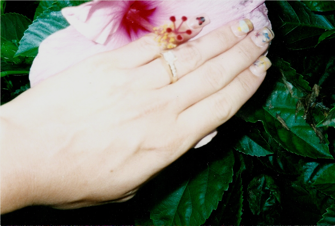 scan0011b